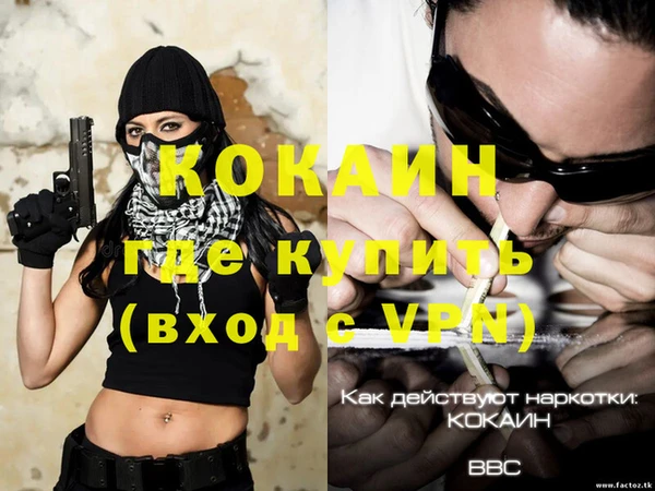 дживик Алексин