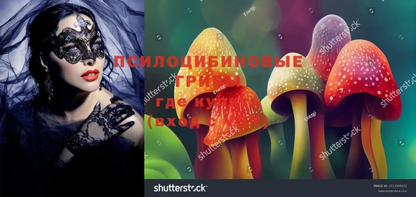 хмурый Алексеевка