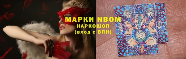 хмурый Алексеевка