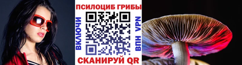 Галлюциногенные грибы Magic Shrooms  купить закладку  Красноармейск 
